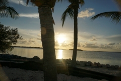 2015-04-16_18-13-28_00118