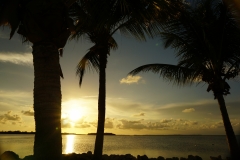 2015-04-16_18-14-38_00120