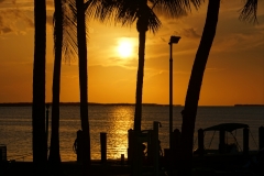 2016-04-09_18-35-25_00075