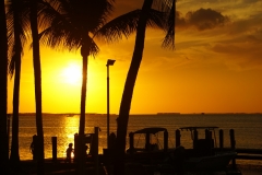 2016-04-09_18-36-37_00077