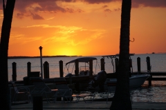 2016-04-09_18-50-02_00091