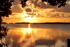 IMG_20170329_192617947