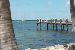 2015-04-03_14-49-49_00065