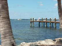 2015-04-03_14-49-49_00065