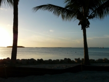 2015-04-15_19-20-56_00080