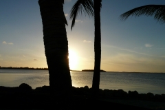 2015-04-15_19-21-02_00081