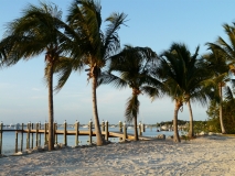 2015-04-15_19-21-37_00083