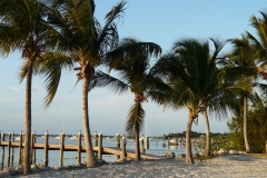 2015-04-15_19-23-52_00088