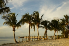 2015-04-16_18-18-52_00132