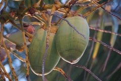 2015-04-16_18-38-11_00152