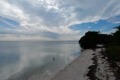 2016-01-19_15-06-02_00004