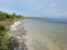 2016-01-19_16-15-35_00019