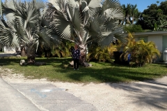 2016-02-03_14-47-53_00022