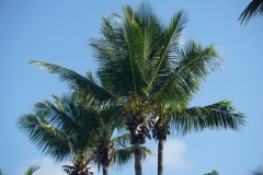 2016-02-04_11-07-22_00027