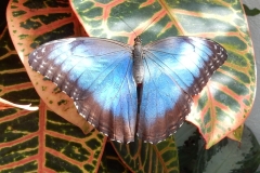 2016-02-08_13-18-53_00039