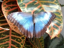 2016-02-08_13-18-53_00039