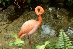 2016-02-08_13-28-00_00045