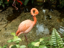 2016-02-08_13-28-00_00045