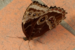 2016-02-08_13-28-32_00047