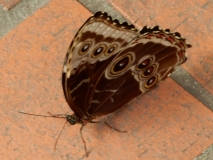 2016-02-08_13-28-32_00047