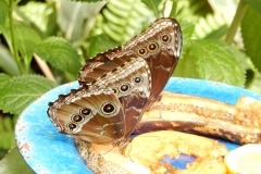 2016-02-08_13-28-47_00048