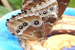 2016-02-08_13-28-51_00049