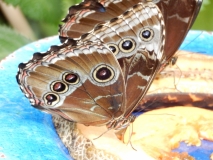 2016-02-08_13-28-51_00049