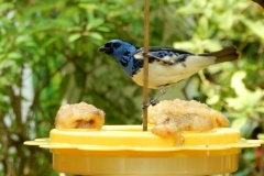 2016-02-08_13-35-24_00053