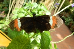 2016-02-08_13-37-49_00056