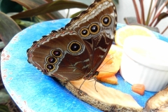 2016-02-08_13-39-03_00058