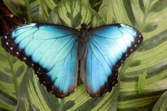 2016-02-08_13-39-30_00059