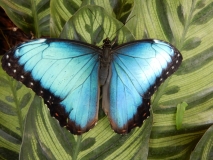 2016-02-08_13-39-30_00059