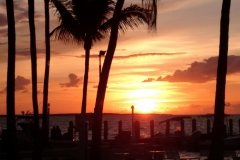 2016-04-08_19-37-08_00071