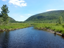 2017-06-15_14-25-04_00027