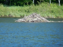 2017-06-15_14-46-45_00028