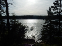 2017-06-15_16-30-19_00088