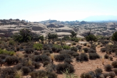 2016-08-20_11-16-22_00107