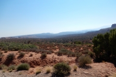 2016-08-20_11-37-52_00127