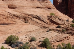 2016-08-20_11-56-36_00160