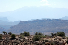 2016-08-20_12-23-12_00167