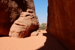 2016-08-20_12-41-40_00182