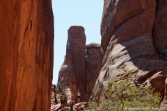 2016-08-20_12-42-17_00186