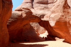 2016-08-20_12-43-09_00187