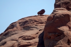 2016-08-20_13-05-47_00198