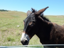 2016-07-10_14-44-19_00039