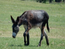 2016-07-10_14-47-56_00047