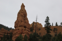 2016-08-27_16-03-05_00017