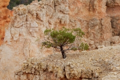 2016-08-27_16-24-28_00034