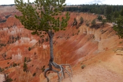 2016-08-27_17-03-20_00068