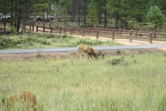 2016-08-27_17-07-50_00080